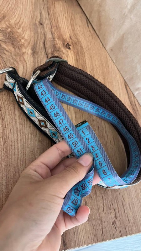 Ошейник для собаки полуудавка 5