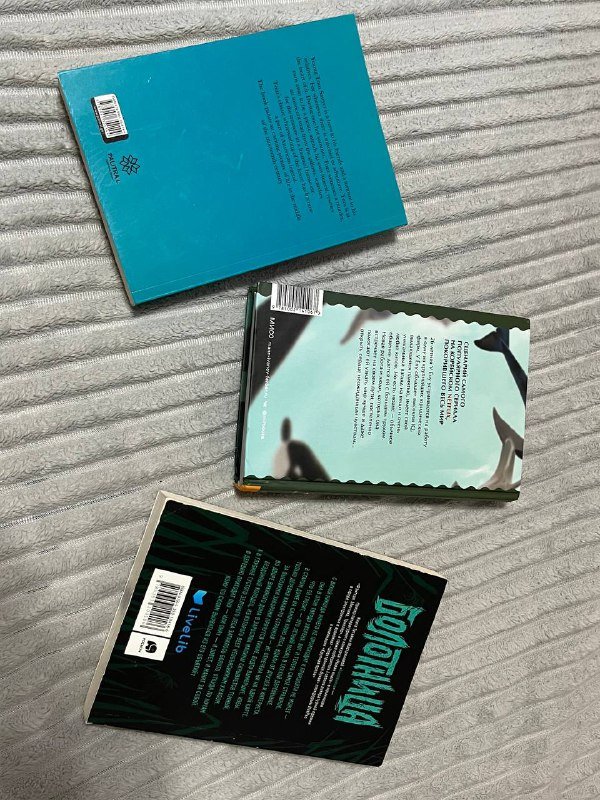 Книга Благословение небожителей 3