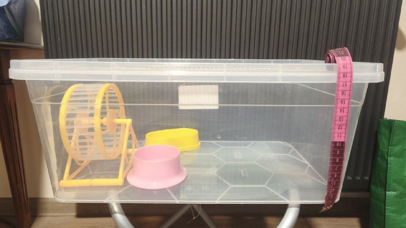 Все для хомяка: колесо, шарик, кормушки, поилка, опилки, еда