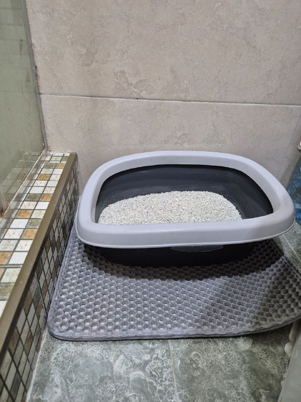 Кошачий лоток 29х33 см, коврик под лоток