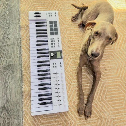 MIDI-клавиатура Arturia KeyLab Essential 49 MK3