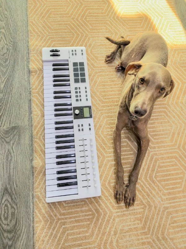 MIDI-клавиатура Arturia KeyLab Essential 49 MK3