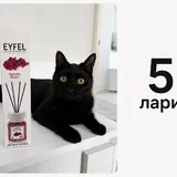 Шоколадный протеин, фен, набор посуды, блендер, тарелки, сковорода, ароматизатор, пазл, холодильник 7