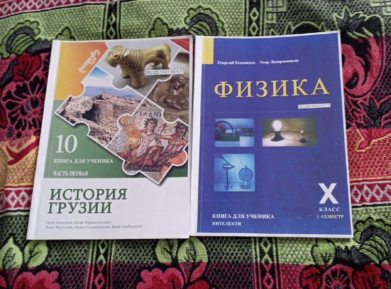 Книги на русском 10 класс, математика