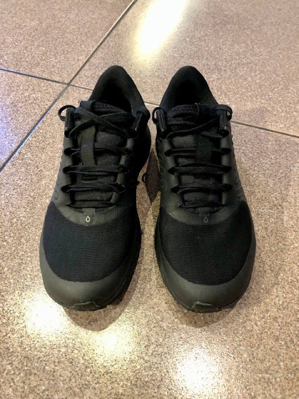 Беговые кроссовки Nike Air Zoom Pegasus 39 Shield