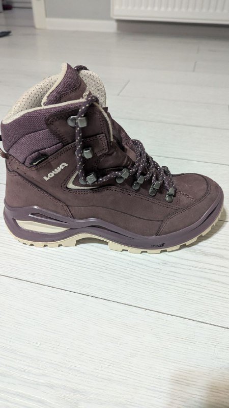 Женские трекинговые ботинки Lowa Renegade Evo GTX 3