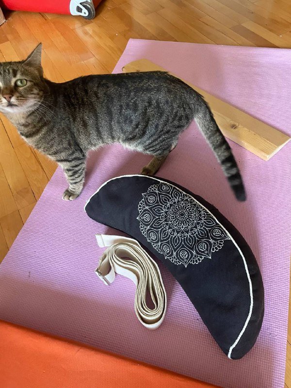 Стул, подставка, подушка, ремень и кирпичи для йоги