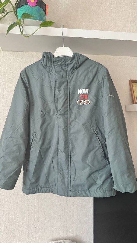 Куртка демисезонная с капюшоном для мальчика