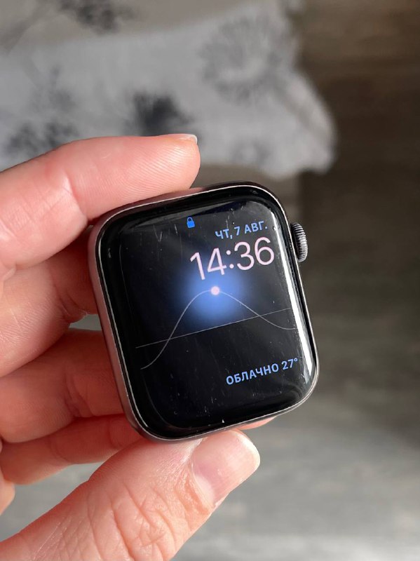 Apple Watch SE 44mm