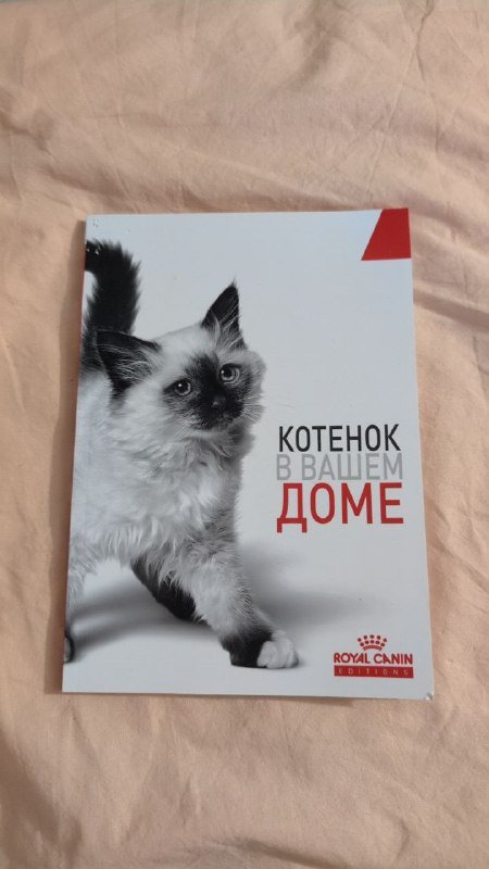 Книга Котенок в вашем доме