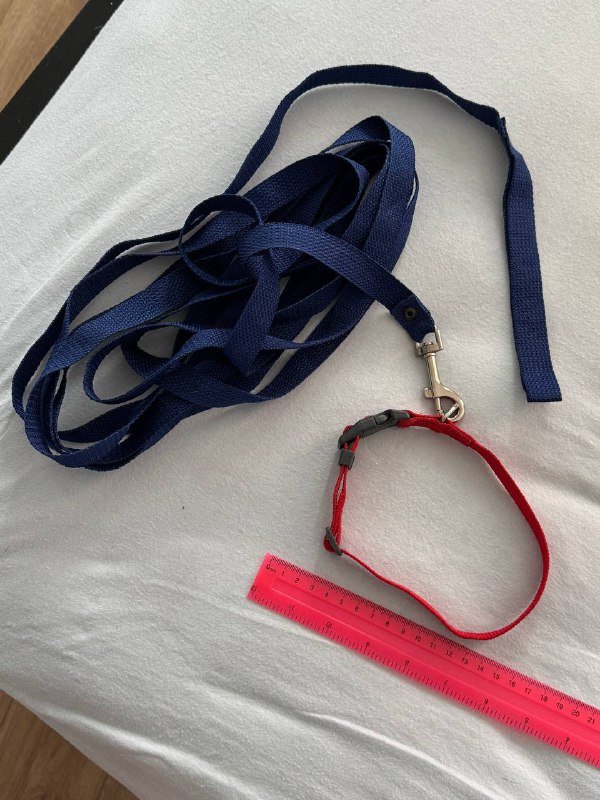 ошейник, поводок, украшения для животных