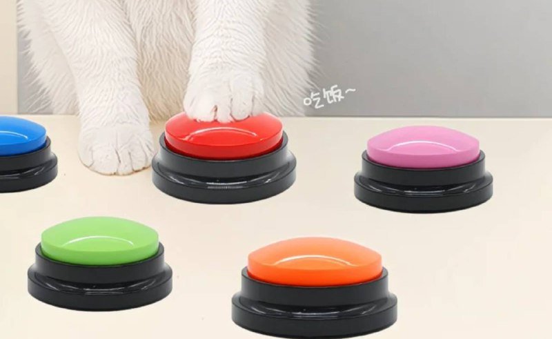 Игрушка для собак с мячиками 2