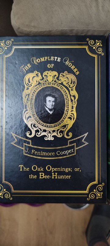 Книги: Моя гениальная подруга, Последняя любовь, После бури, The Oak Openings, Жила лиса, Состояние - Питер 4