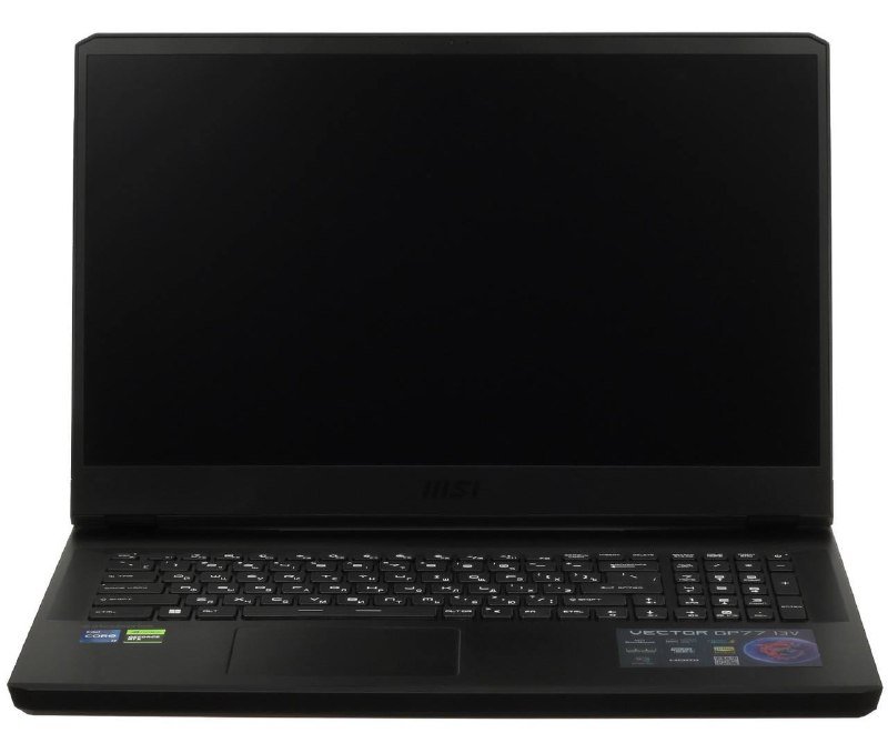 Ноутбук MSI Vector GP77 13VG 17.3"