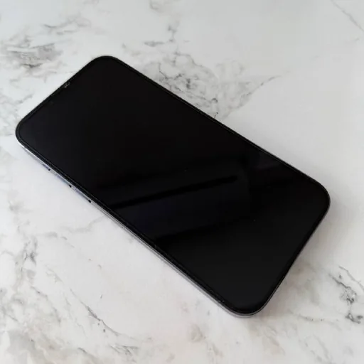 iPhone 13 Pro Max 256 ГБ