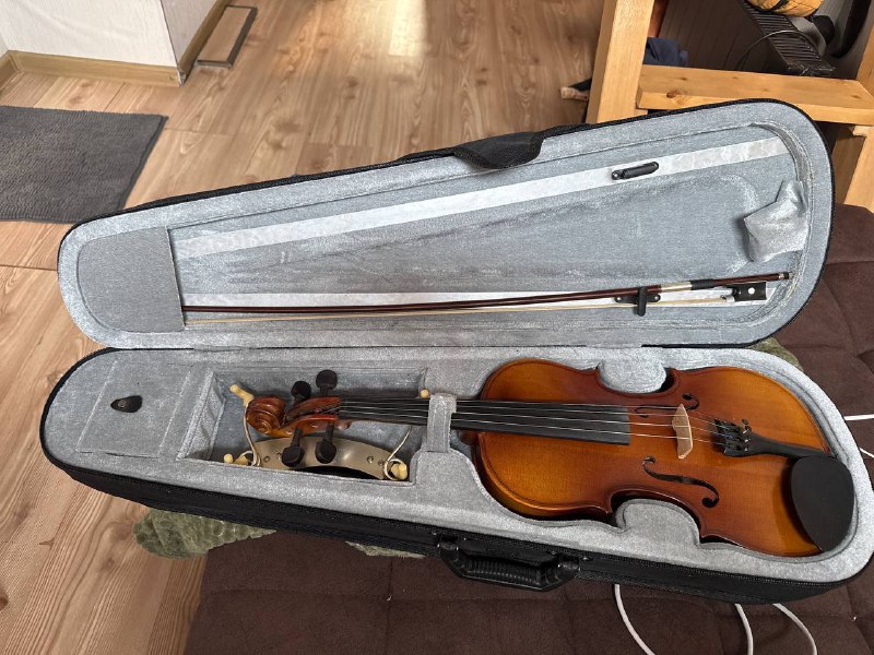 Gewa Pure PS401611 Violin