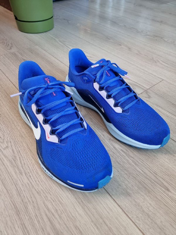 Беговые кроссовки Nike Pegasus 41 мужские US 10.5 EU 44.5 2