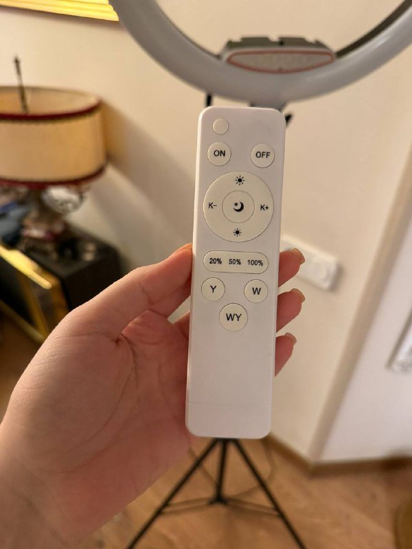 Кольцевая лампа с пультом управления 2