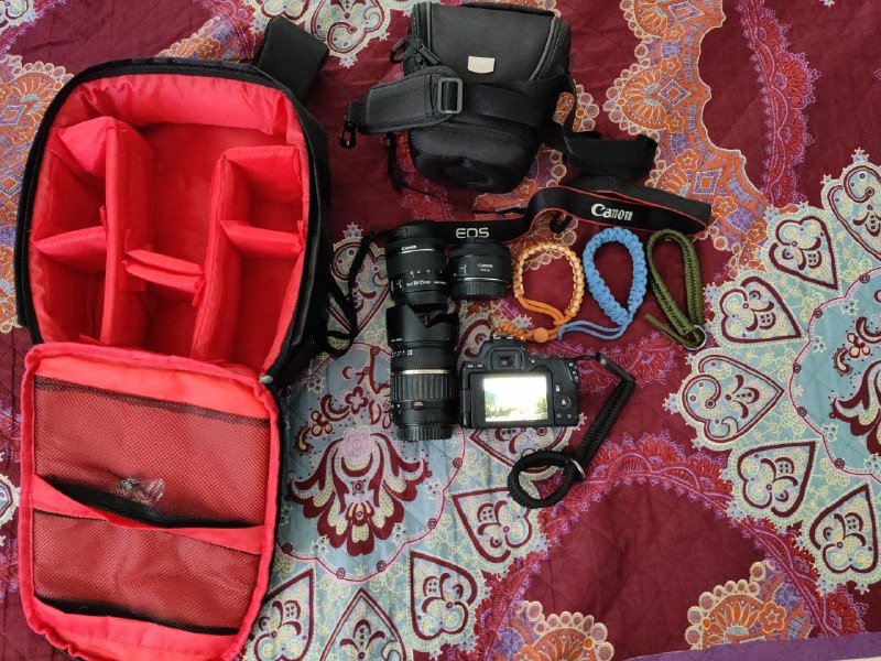 Фотоаппарат Canon EOS 250D, 3 линзы и аксессуары 3