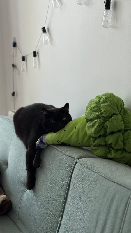 Стильный раскладной диван 2