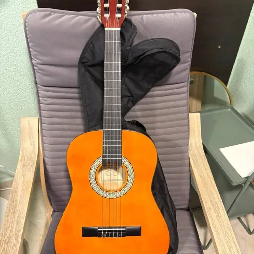 Six-string guitar with case