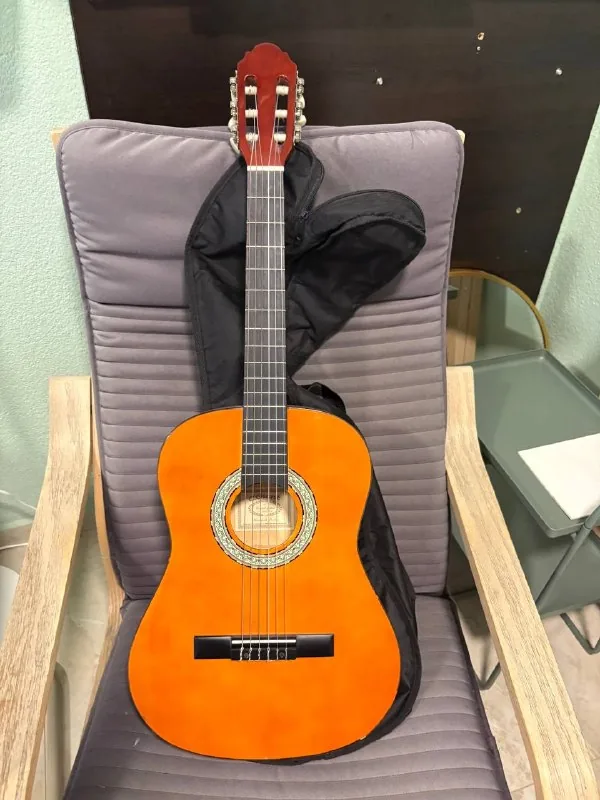 Six-string guitar with case 1