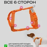 Шлейка pro-comfort xxs 4