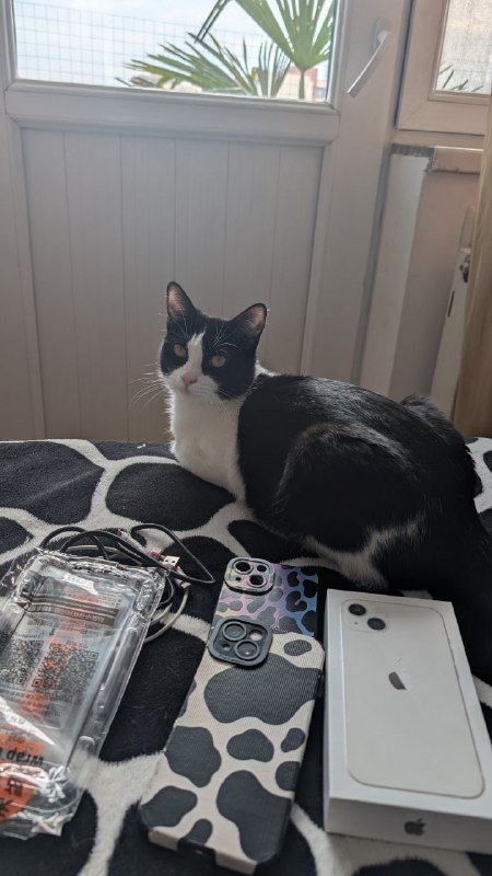 iPhone 13 white 128gb