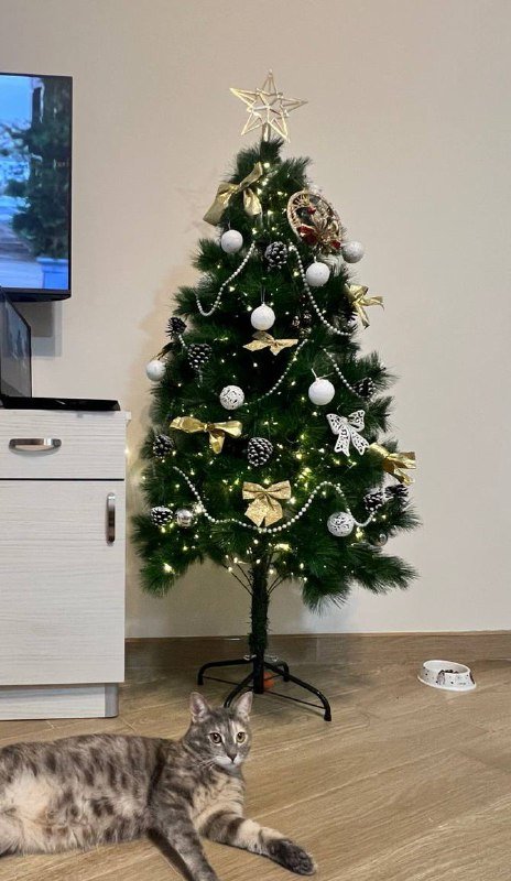 Новогодняя елка, игрушки, гирлянда с теплым светом