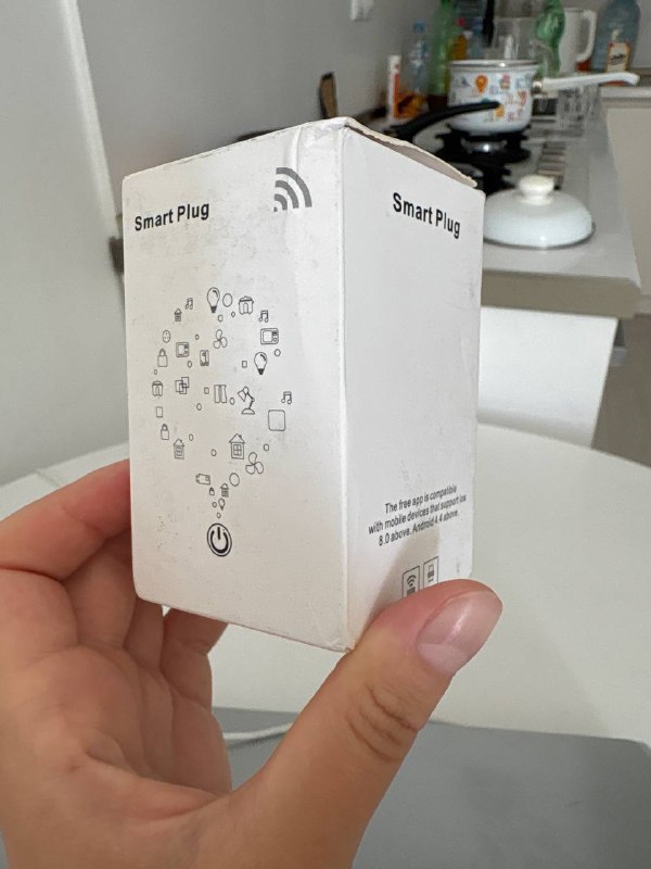 Умная розетка Smart Plug с Alexa и Google assistant