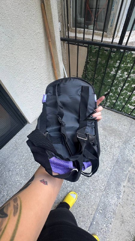 Вещи для собаки 4-5 кг, пакет 2