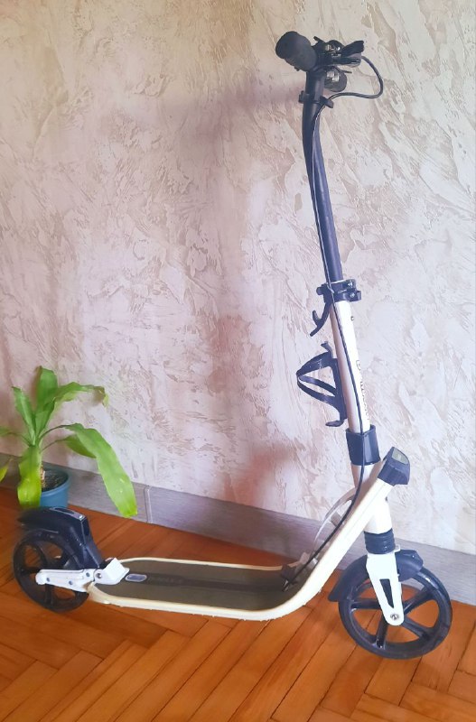Самокат D-Max 9
