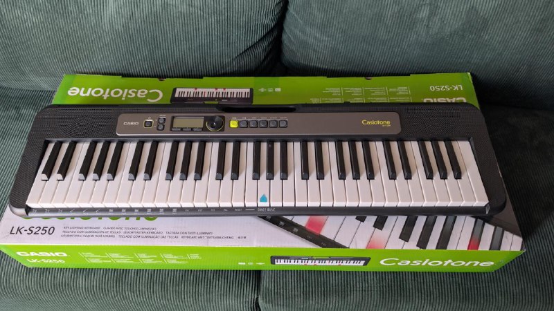 Синтезатор Casio LK-S250