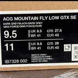 Кроссовки Nike ACG Mountain Fly Low Gore-Tex SE 5
