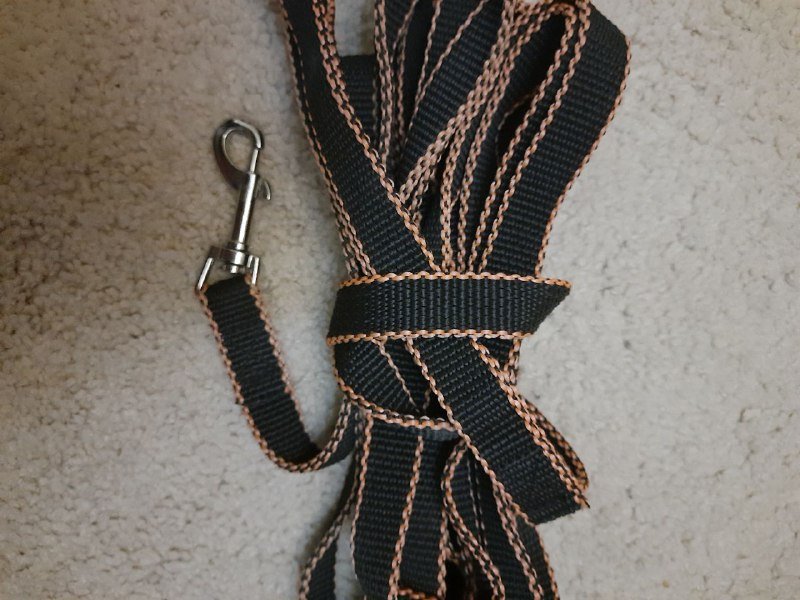 Шлейка, поводок, обувь для питомцев 5