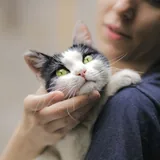 Кошка Булочка ищет дом 3