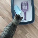 Кошачий лоток с лопаточками 2