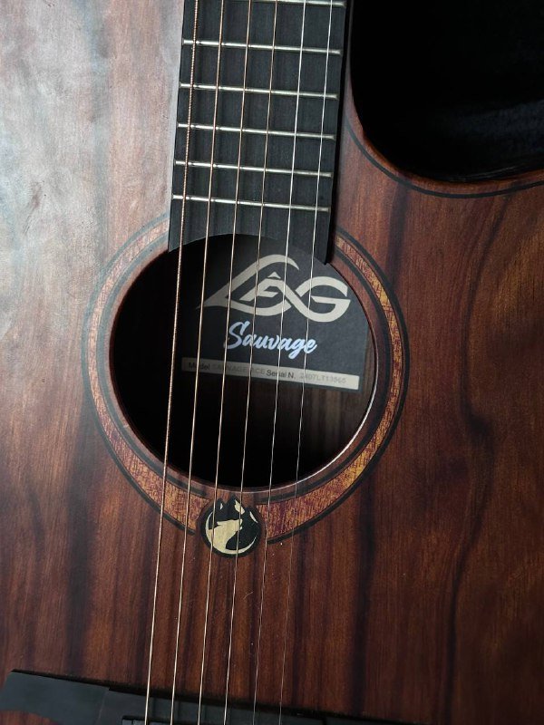 электро-акустическая гитара GLA SAUVAGE ACE с чехлом 7