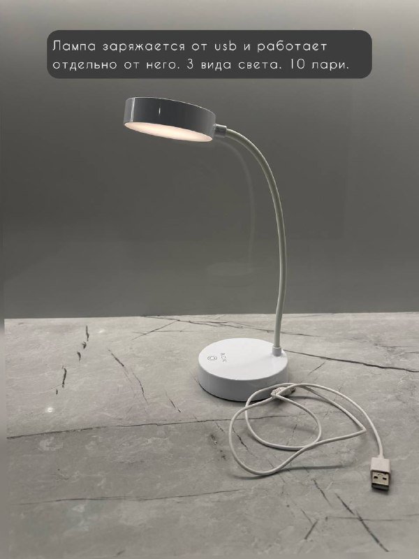 Палатка трехместная, надувной матрас, термосумка, охлаждители, коврики для мышки, фотофон, лампа, вешалки 5