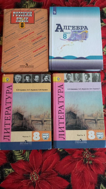 Учебники по литературе