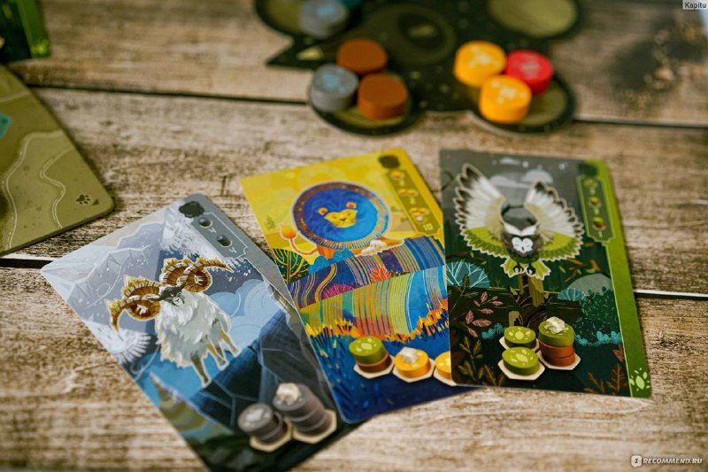 Настольная игра Гармония Harmonies 4