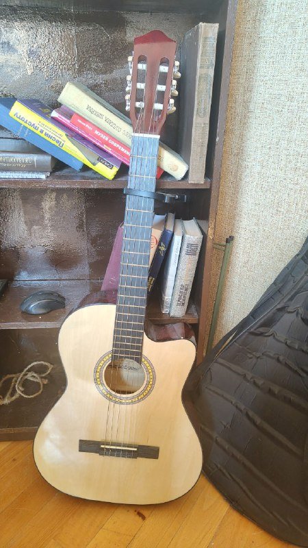 Растения, велосипед, духи, увлажнитель, гитара, массажёр 5