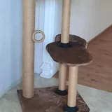 Когтеточки для кошек на заказ 2