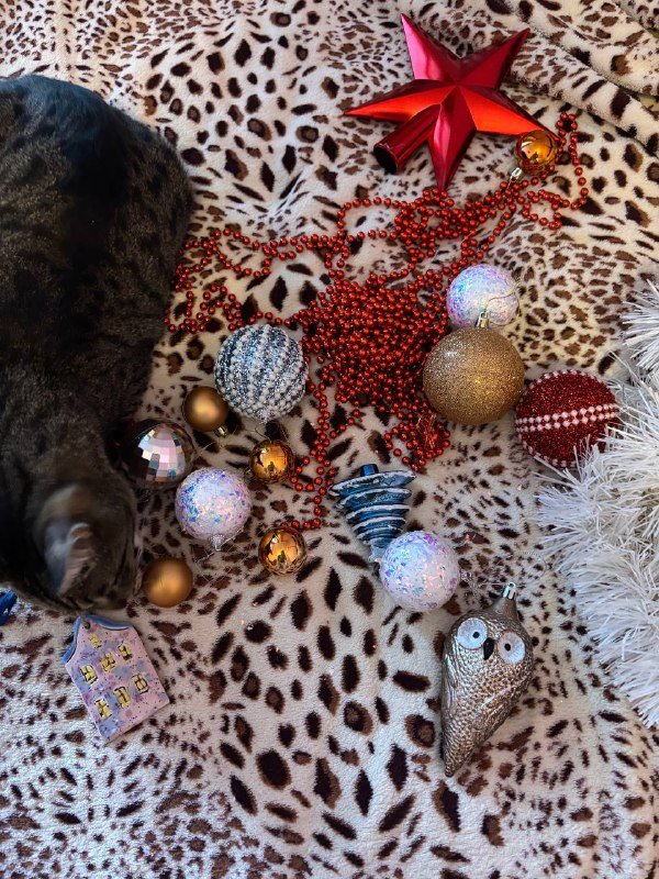 Кресло, столик журнальный, стол письменный, комод, органайзер, этажерка, поилка, елка, приставка, утюг 10