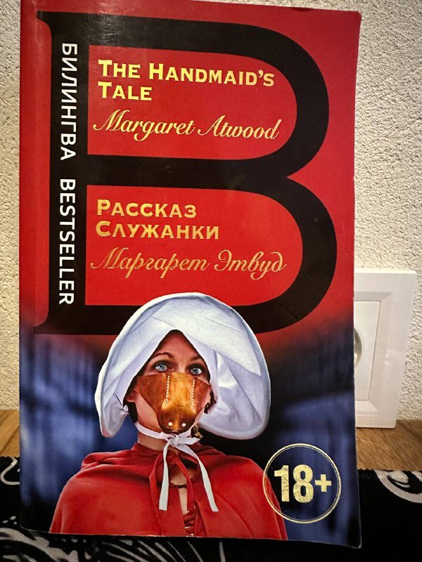 Книги: Щегол, Коллекционер, Рассказ служанки, Никогде, Sherlock Holmes 3
