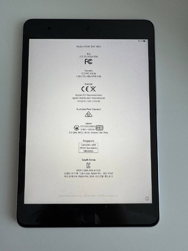 iPad mini 4 2