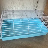 Морские свинки, клетка 1
