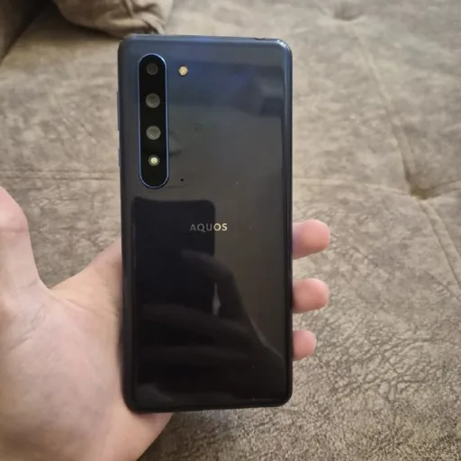 Aquos R5G 12/256