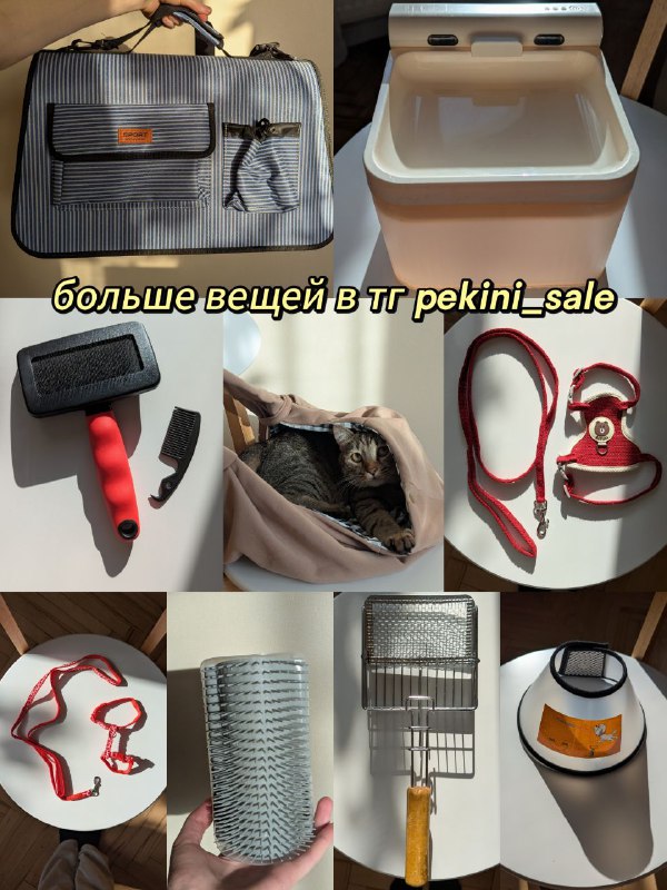 Шлейка, чесалка, лоток, лопатка, сумка, воротник для котов 9