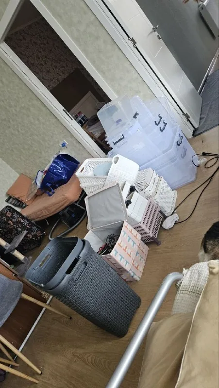 Корзины, контейнеры, бытовая химия